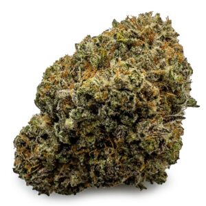 Astro Cookies Weed Strain