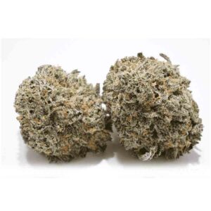 Blueberry Skunk Weed Strain - THC VAPES UK | Weed Vapes Online | Thc Vape Store