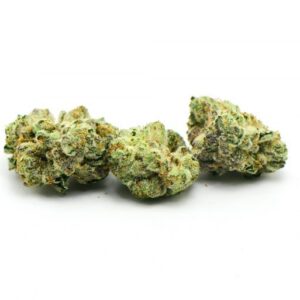 Bruce Banner Weed Strain
