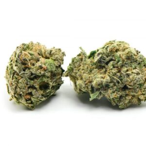 Tom Ford Pink Kush Marijuana Strain