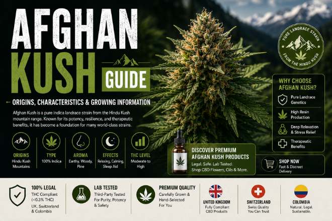 Afghan Kush Guide